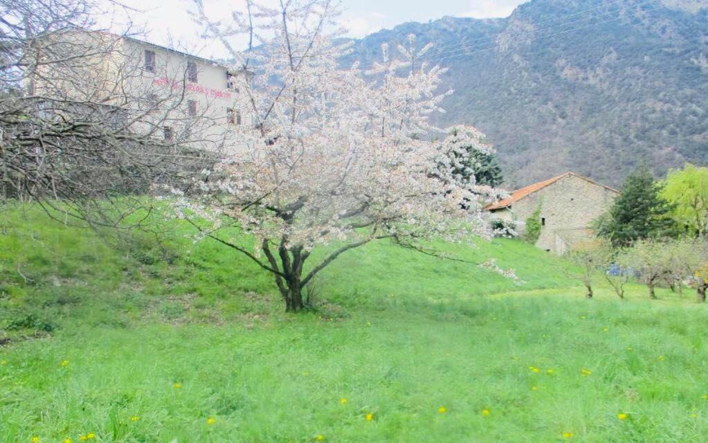 La Pommeraie Casteil Buitenkant foto